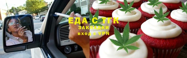 индика Елабуга