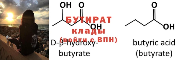 гидра Ельня