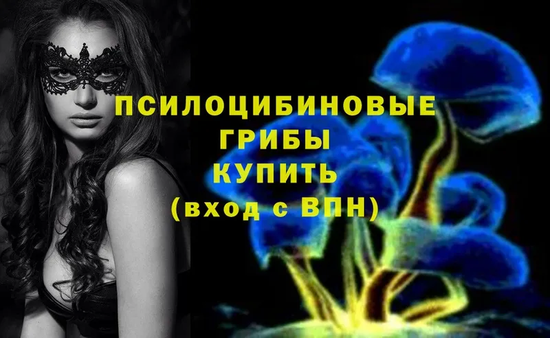 как найти закладки  Кинель  Галлюциногенные грибы Magic Shrooms 